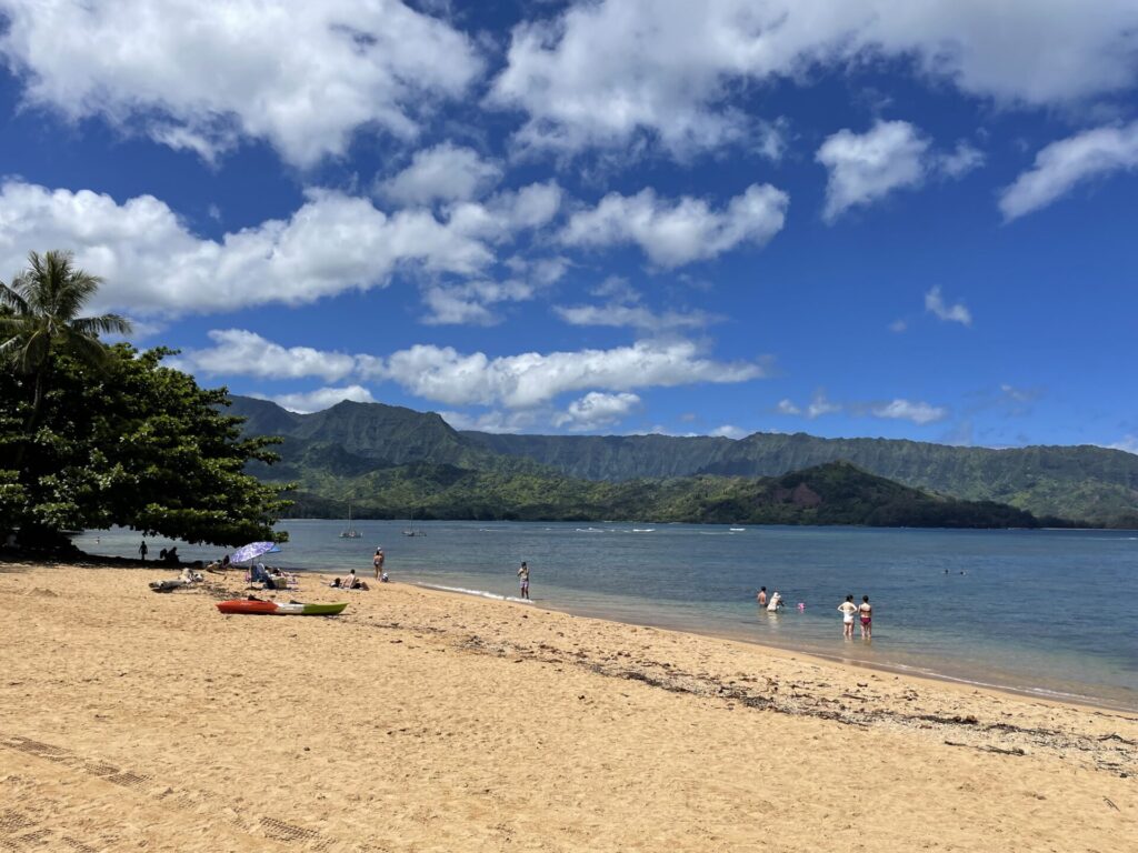 Beach at the 1 Hotel Hanalei Bay 
