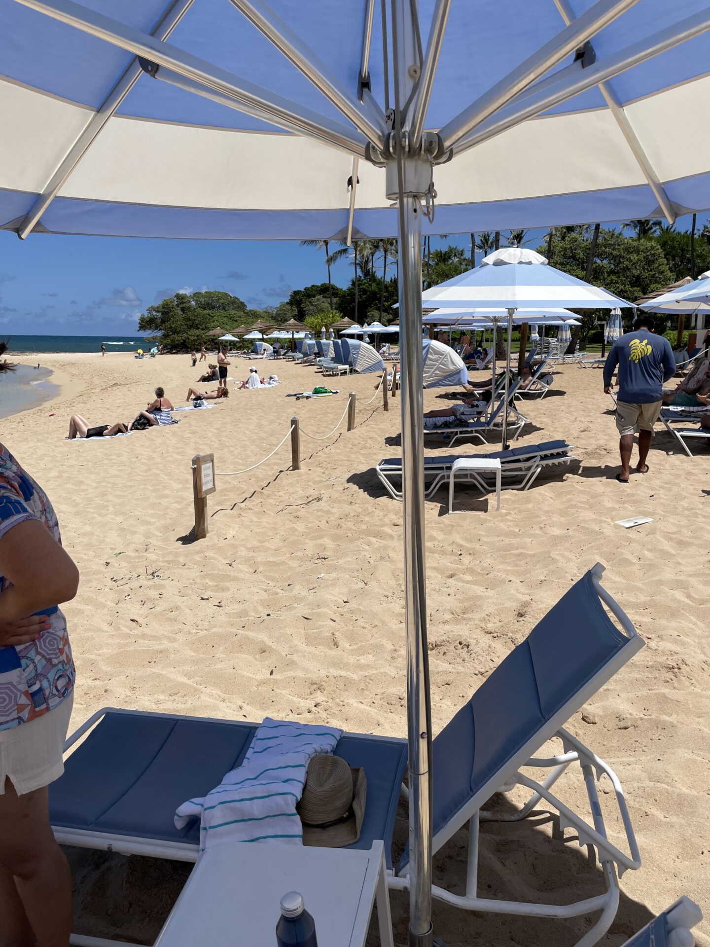 Plaza Ritz Turtle The Ritz-Carlton O'ahu, Turtle Bay- Review: Is it worth it?