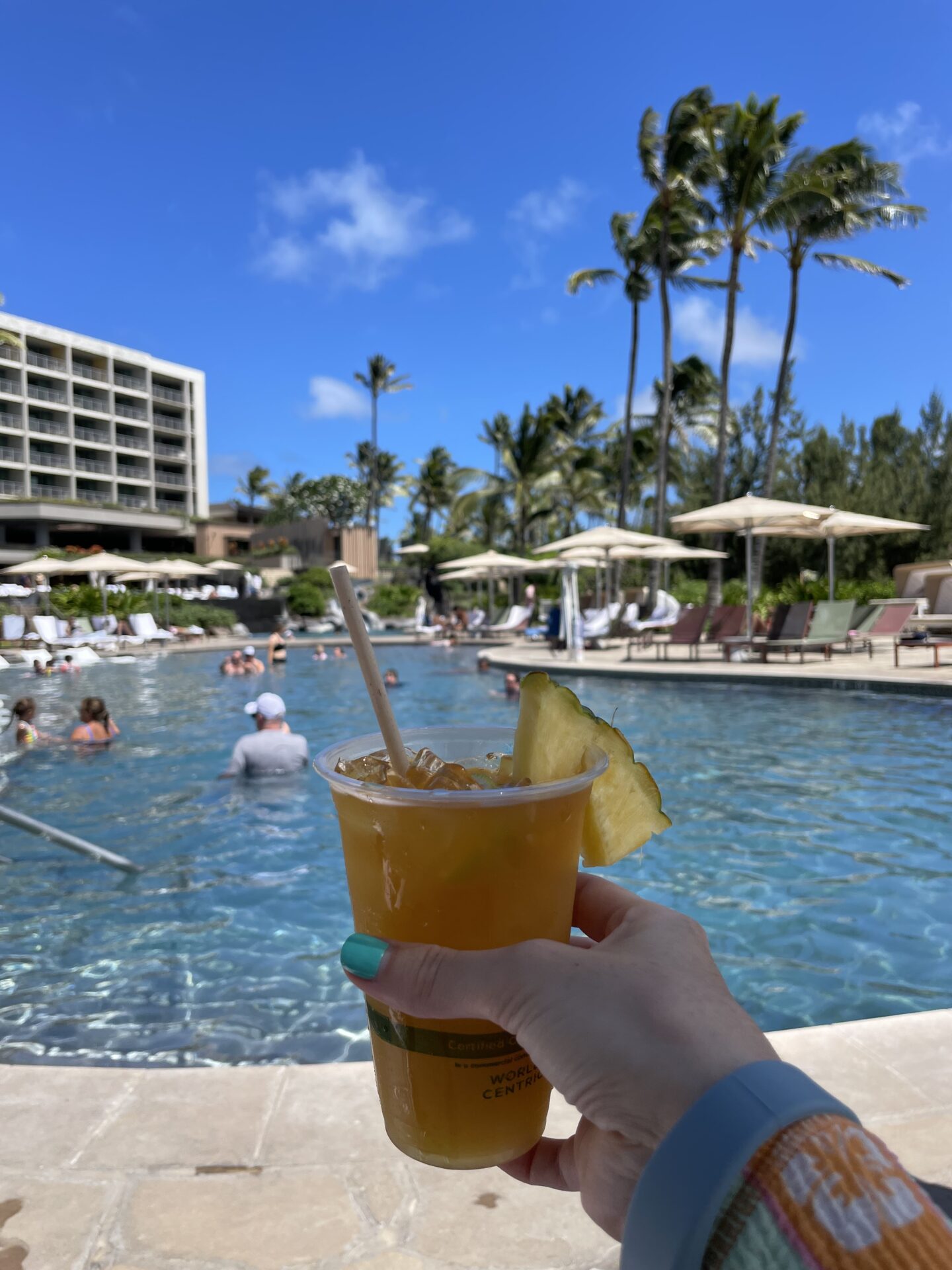 Plaza Ritz Turtle The Ritz-Carlton O'ahu, Turtle Bay- Review: Is it worth it?