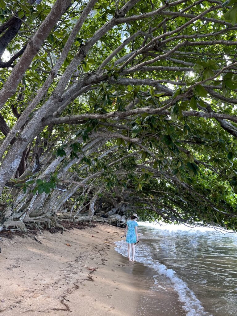 Natalie walking along the beach at the 1 hotel Hanalei bay in a blue dress with large trees