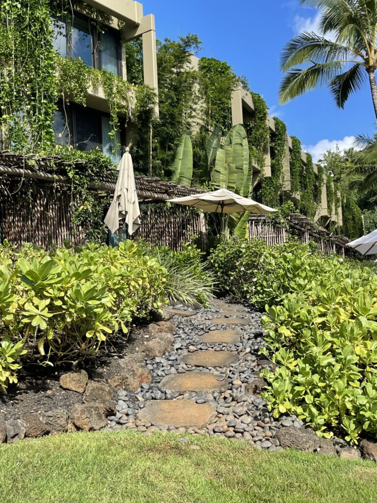 pool access beachfront rooms path at the 1 hotel Hanalei bay