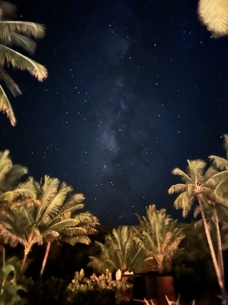 Stargazing at the 1 Hotel Hanalei Bay Kauai with palm trees framing the Milky Way