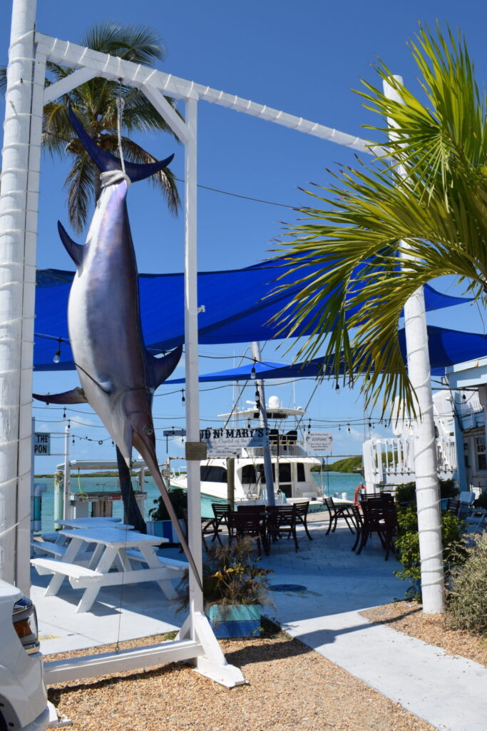 display of sport fishing at bud n Marys marina 