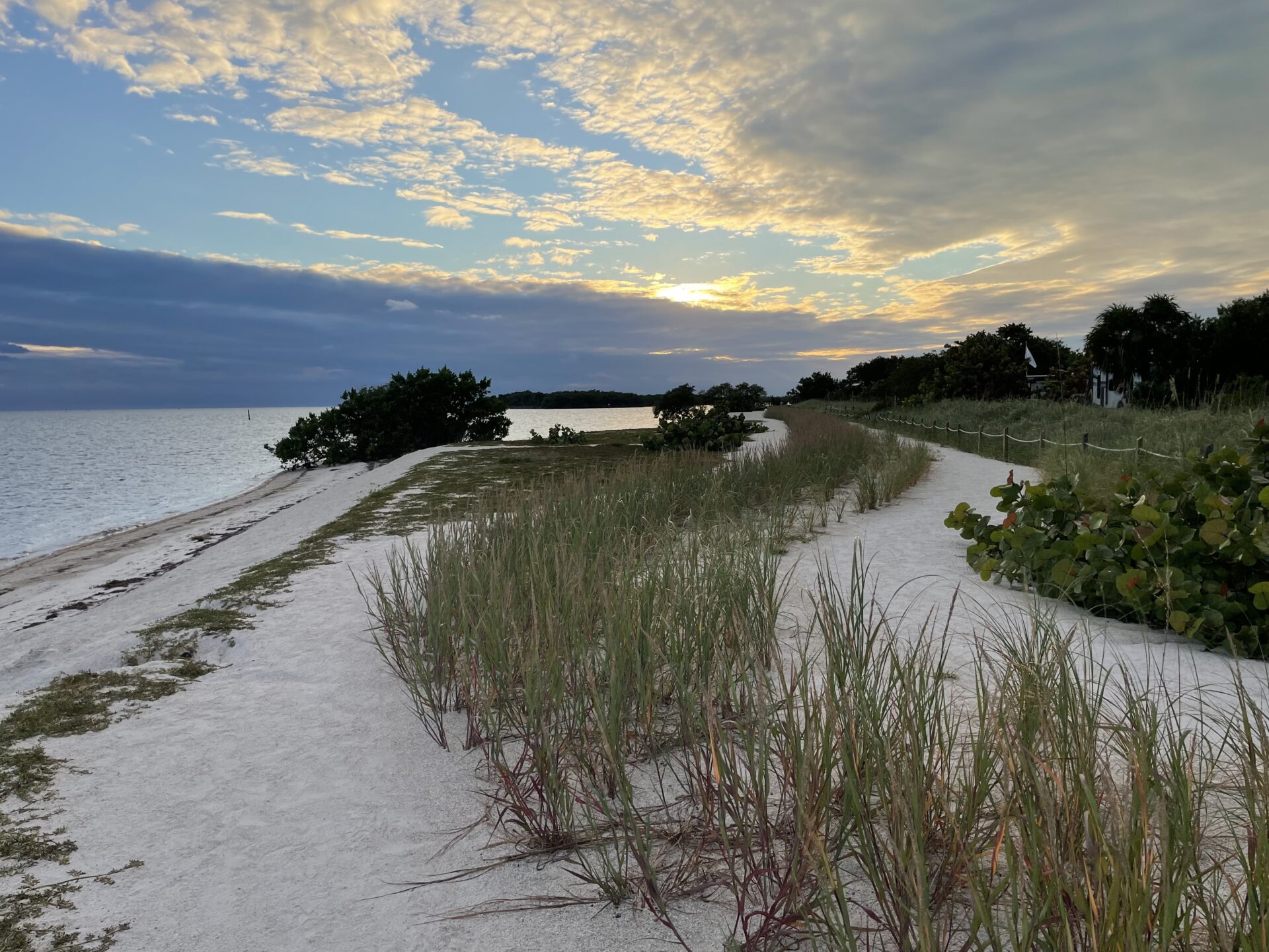 Curry Hammock State Park Beach at sunset with freshly planted sea grass and sand dunes