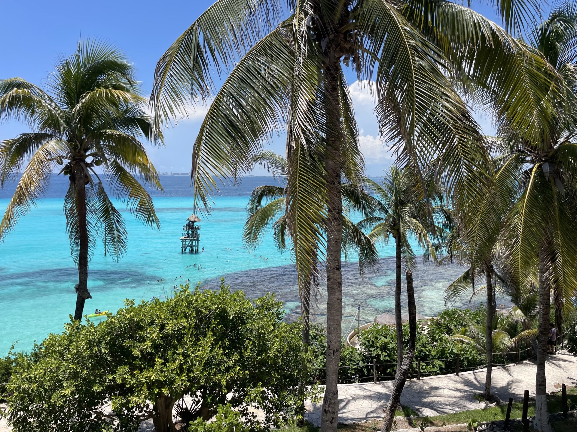 Aqua beach on Isla Mujeres, Mexico with many palm trees