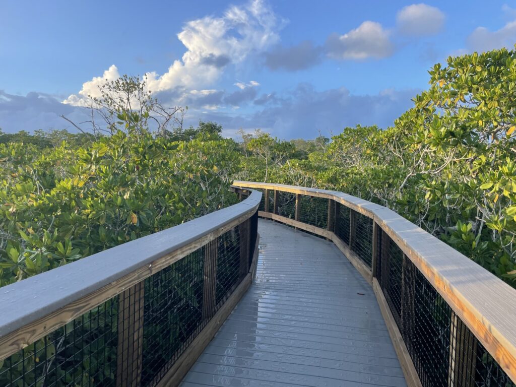 Trail through the mangroves in John Pennekamp State Park 