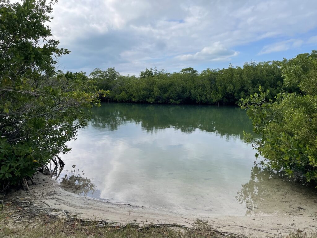 Library Park Beach in Islamorada, more like a cove/canal with a narrow grassy entrance. 