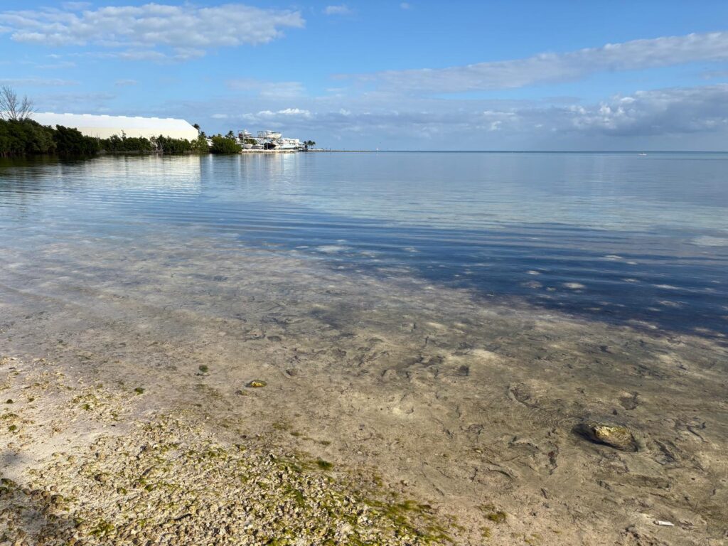 Anne's beach clear waters on a calm day in islamorada florida keys